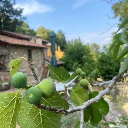 Berenice In Chianti * Bagno A Ripoli