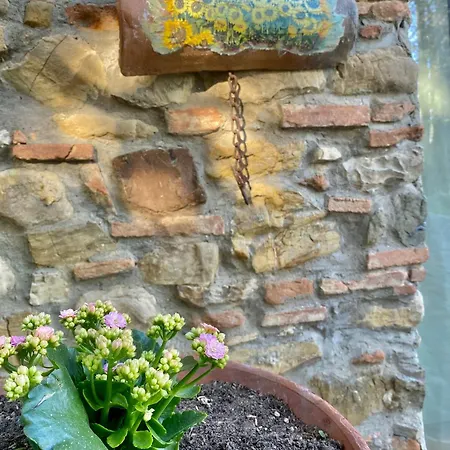 Berenice In Chianti