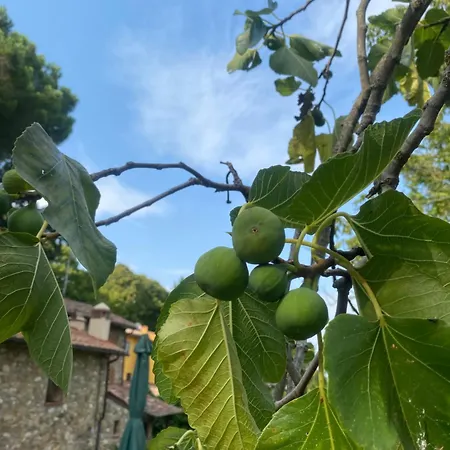Country house Berenice In Chianti