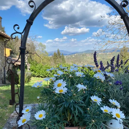 Berenice In Chianti - Authentic Tuscan Séjour à la campagne Bagno a Ripoli