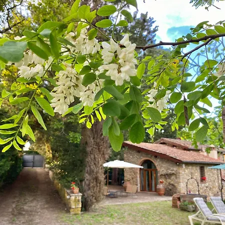 Country house Berenice In Chianti - Authentic Tuscan Bagno A Ripoli