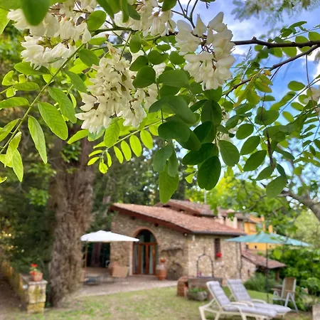 Country house Berenice In Chianti - Authentic Tuscan